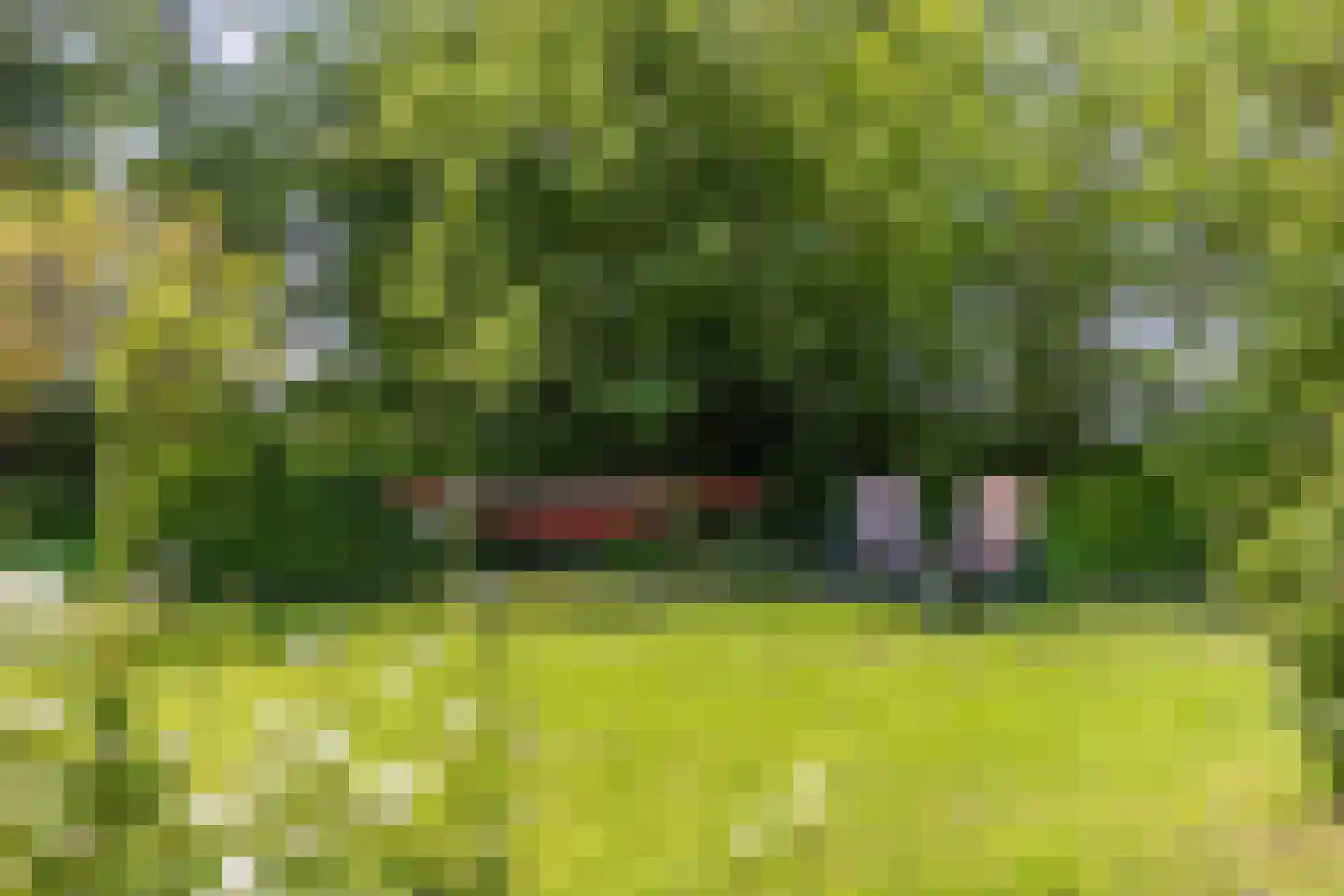 Nijksweg 24 Blesdijke thumbnail 46