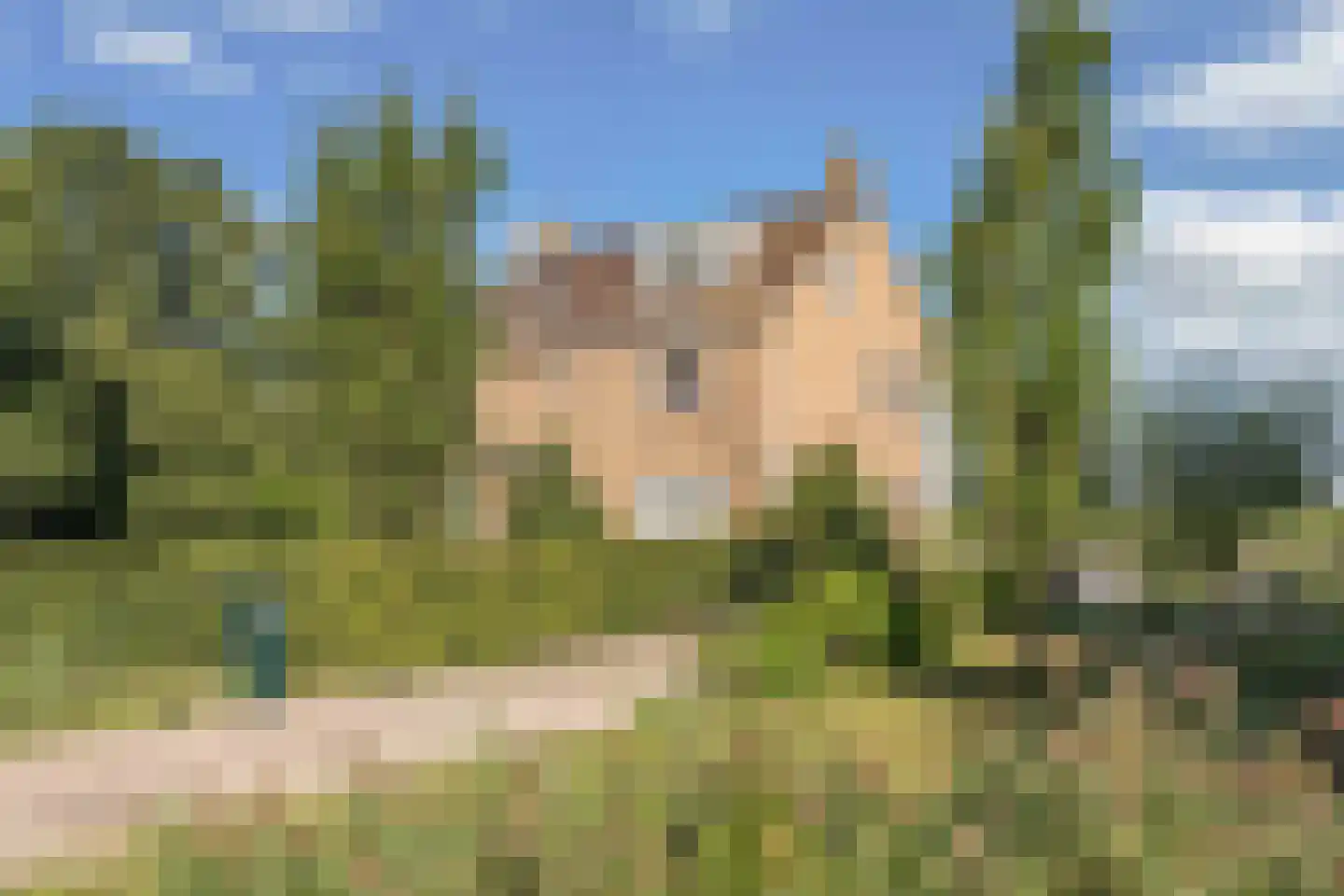Nijksweg 24 Blesdijke thumbnail 49
