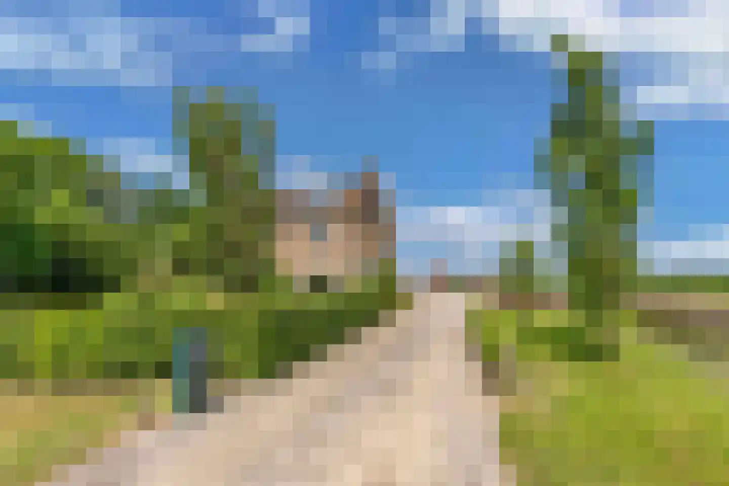 Nijksweg 24 Blesdijke thumbnail 5