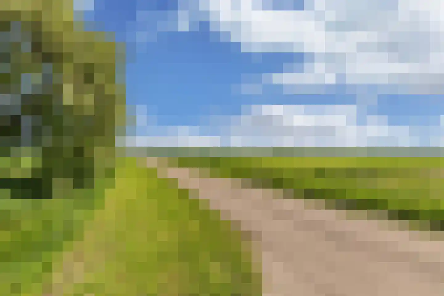 Nijksweg 24 Blesdijke thumbnail 51