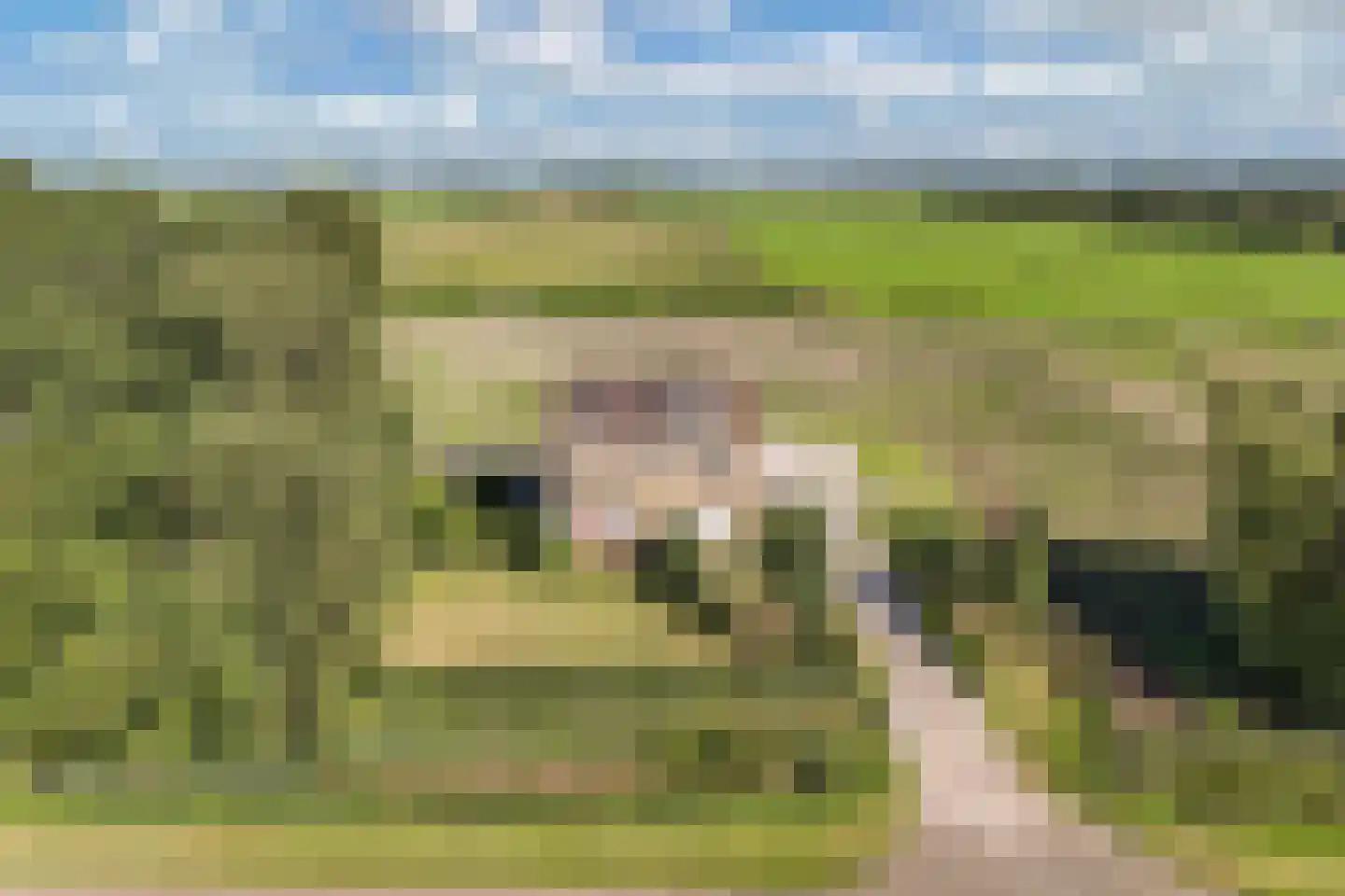 Nijksweg 24 Blesdijke thumbnail 52