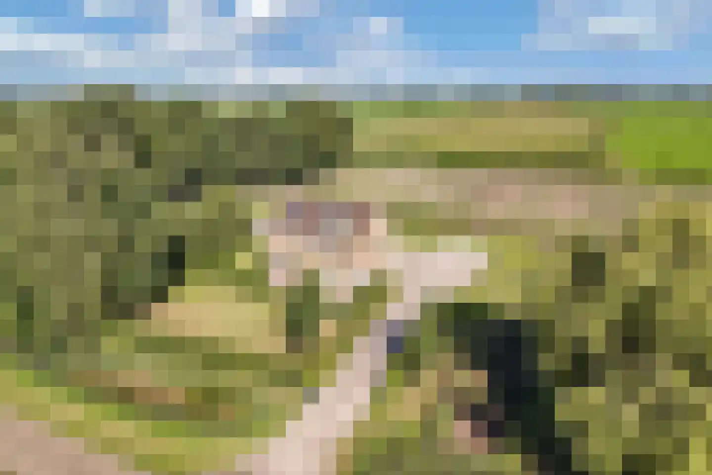 Nijksweg 24 Blesdijke thumbnail 53