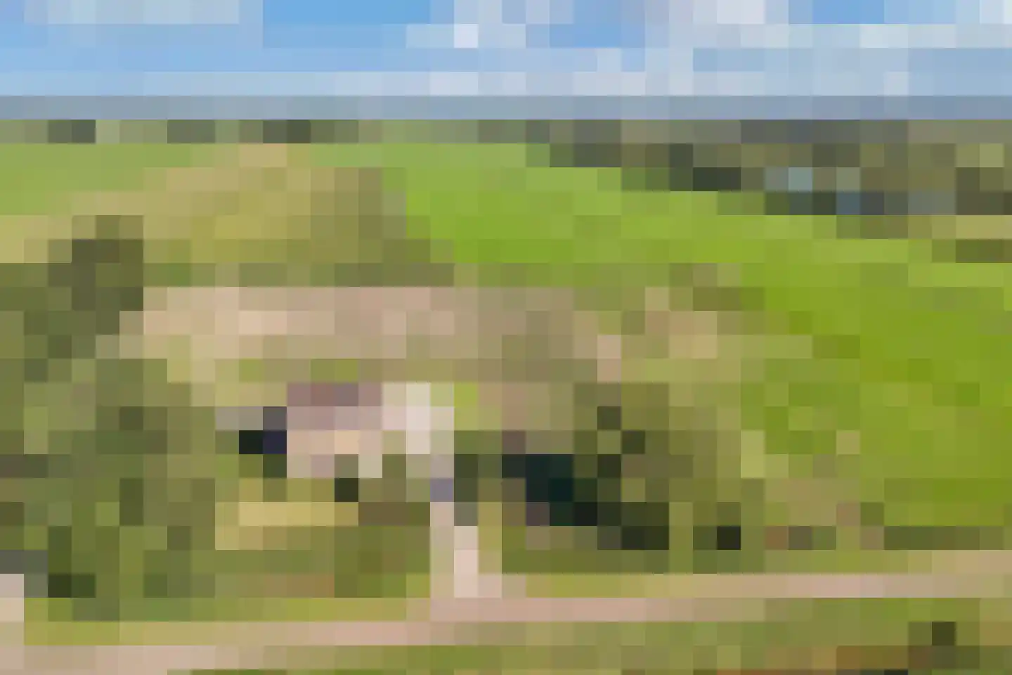 Nijksweg 24 Blesdijke thumbnail 54