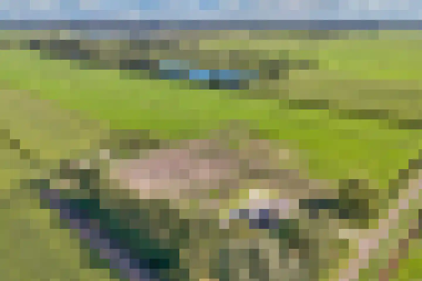 Nijksweg 24 Blesdijke thumbnail 55
