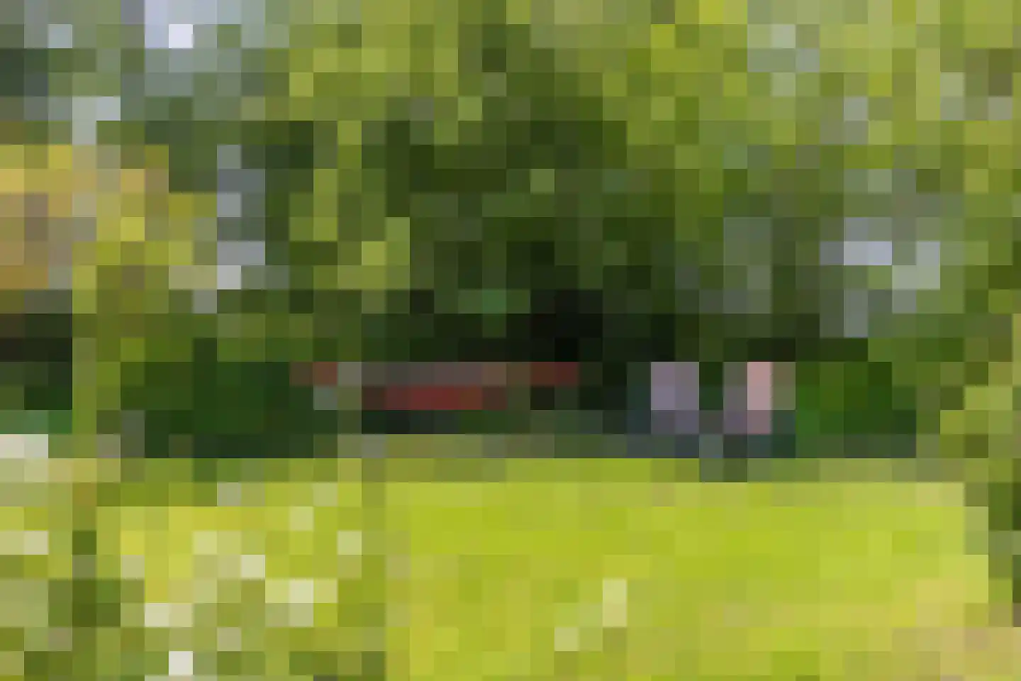 Nijksweg 24 Blesdijke thumbnail 56