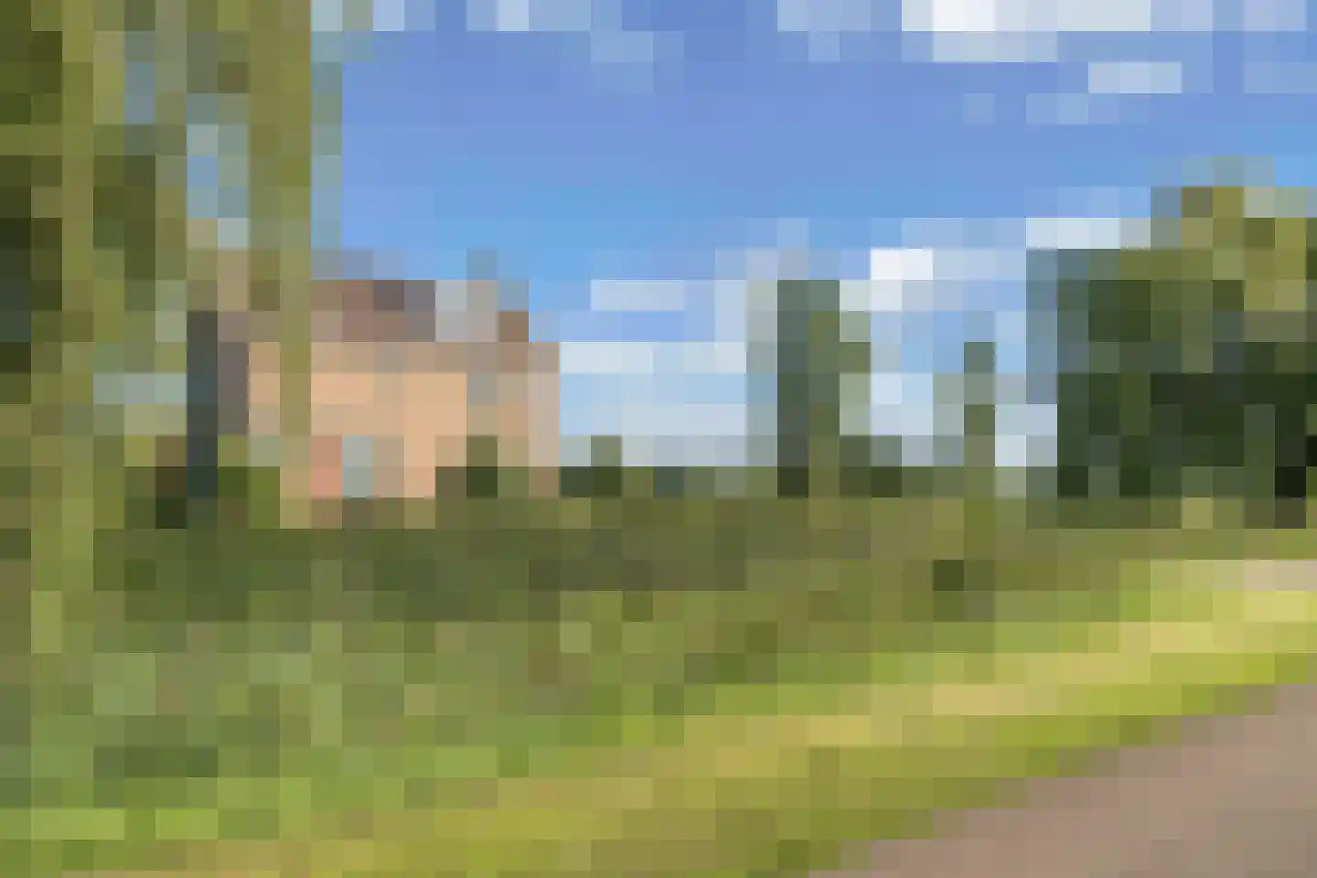 Nijksweg 24 Blesdijke thumbnail 56