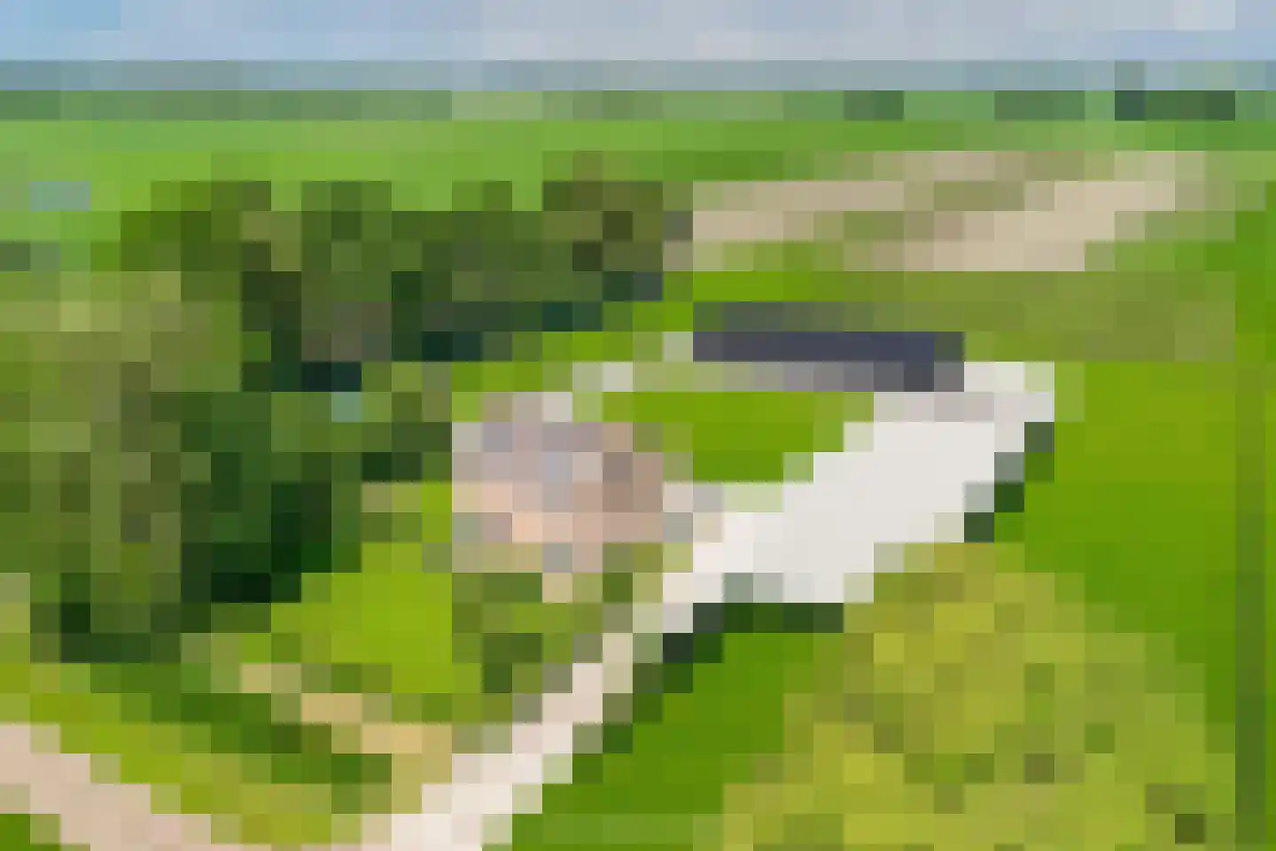 Nijksweg 24 Blesdijke thumbnail 59