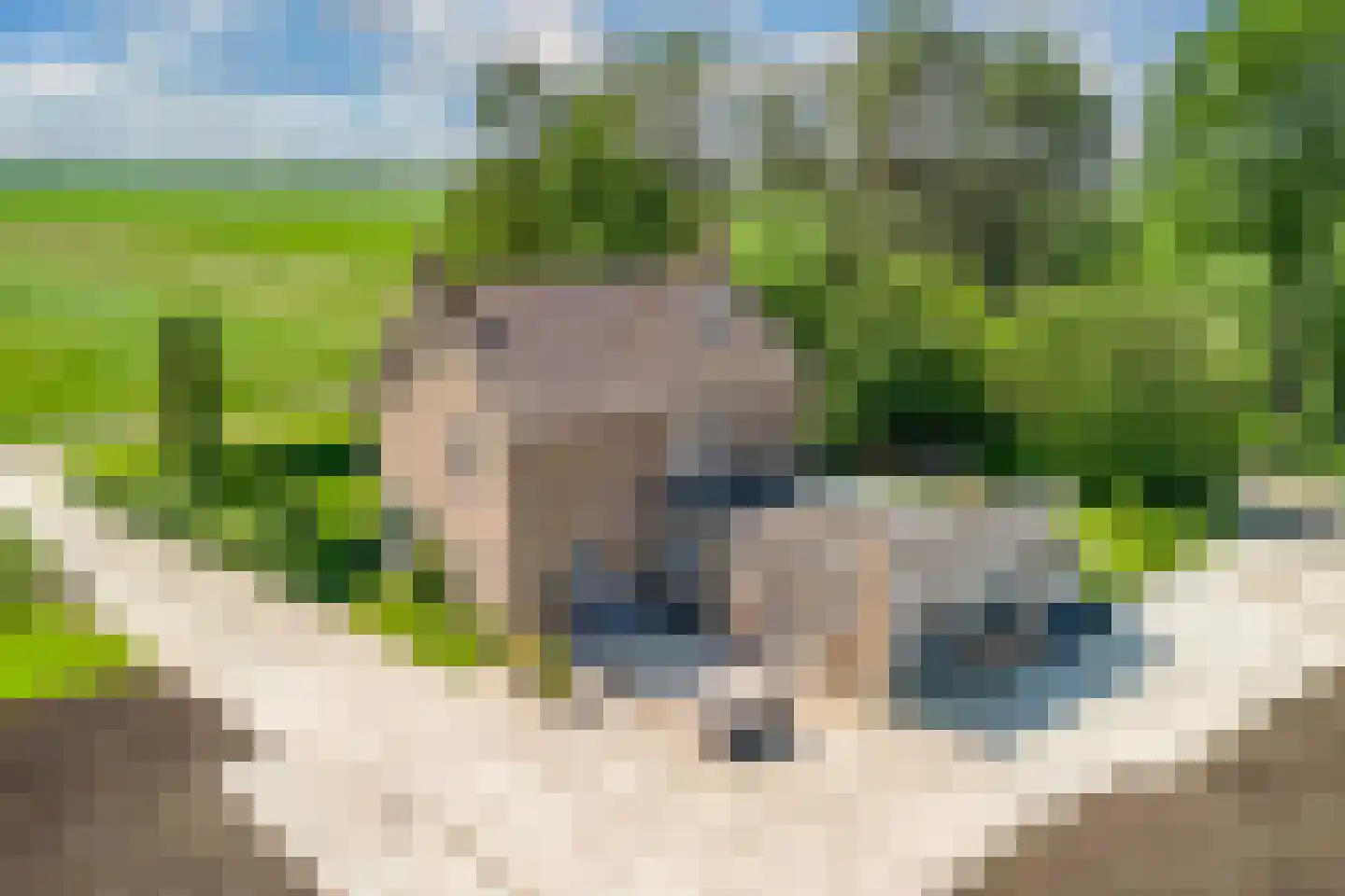 Nijksweg 24 Blesdijke thumbnail 59