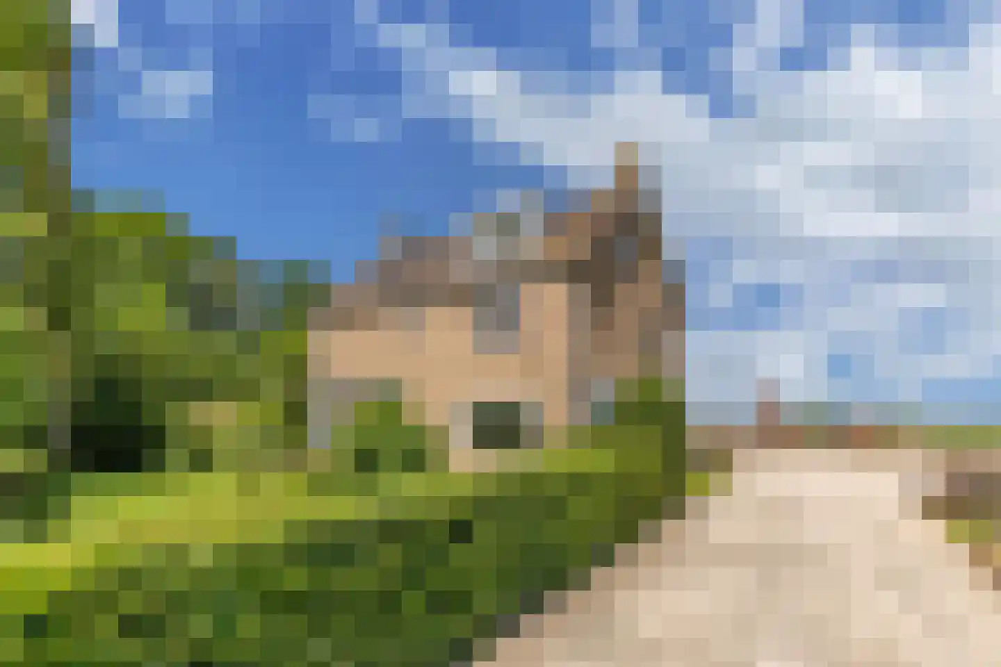 Nijksweg 24 Blesdijke thumbnail 6