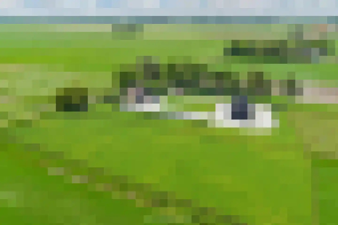 Nijksweg 24 Blesdijke thumbnail 60