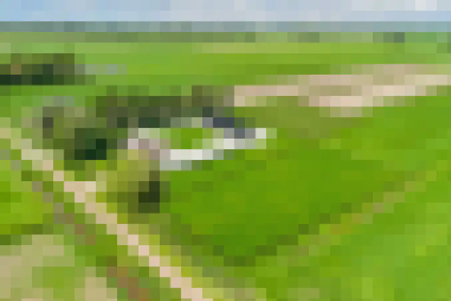 Nijksweg 24 Blesdijke thumbnail 61