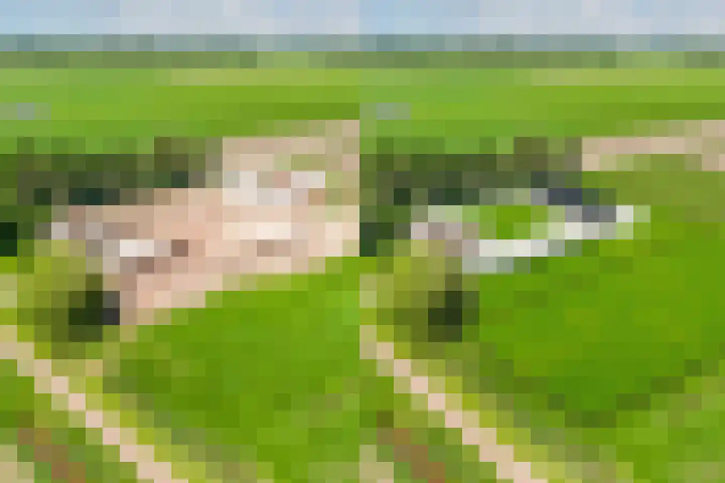 Nijksweg 24 Blesdijke thumbnail 64
