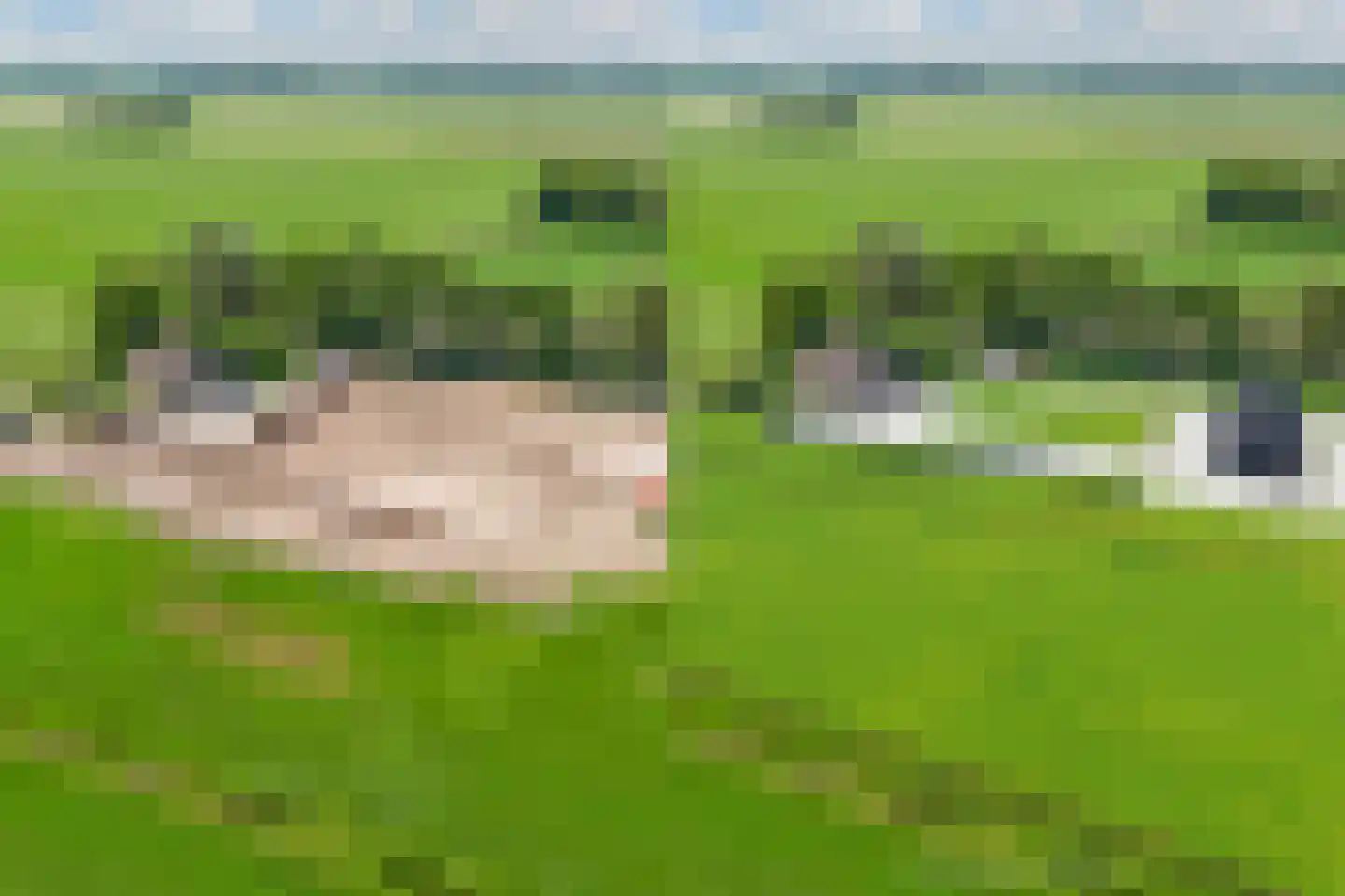 Nijksweg 24 Blesdijke thumbnail 65
