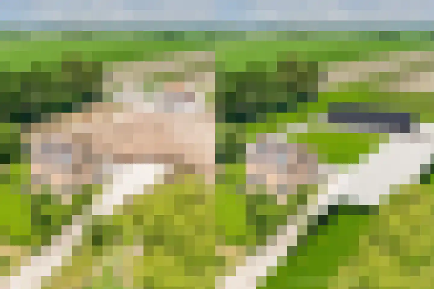 Nijksweg 24 Blesdijke thumbnail 66