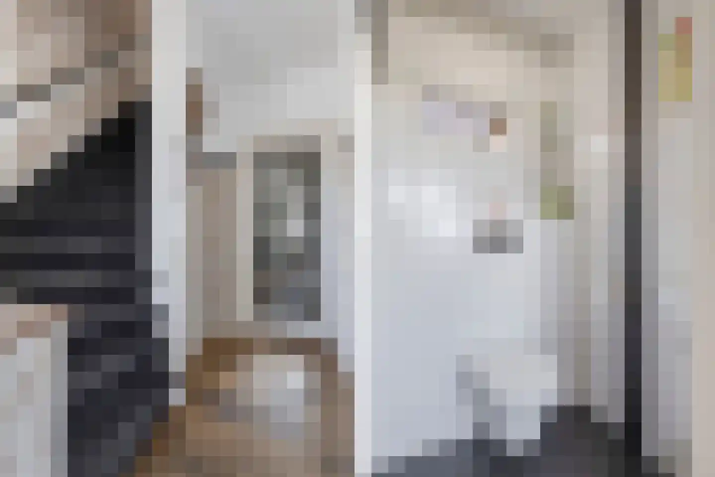 Nijksweg 24 Blesdijke thumbnail 7