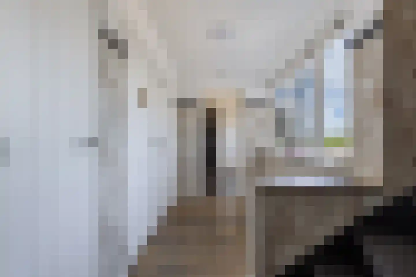 Nijksweg 24 Blesdijke thumbnail 9