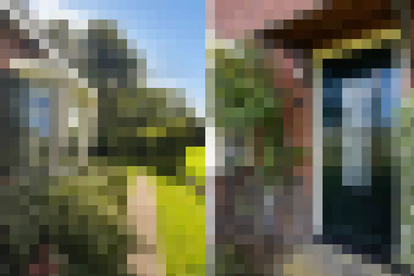 Nijlân 12 Ingwierrum thumbnail 11