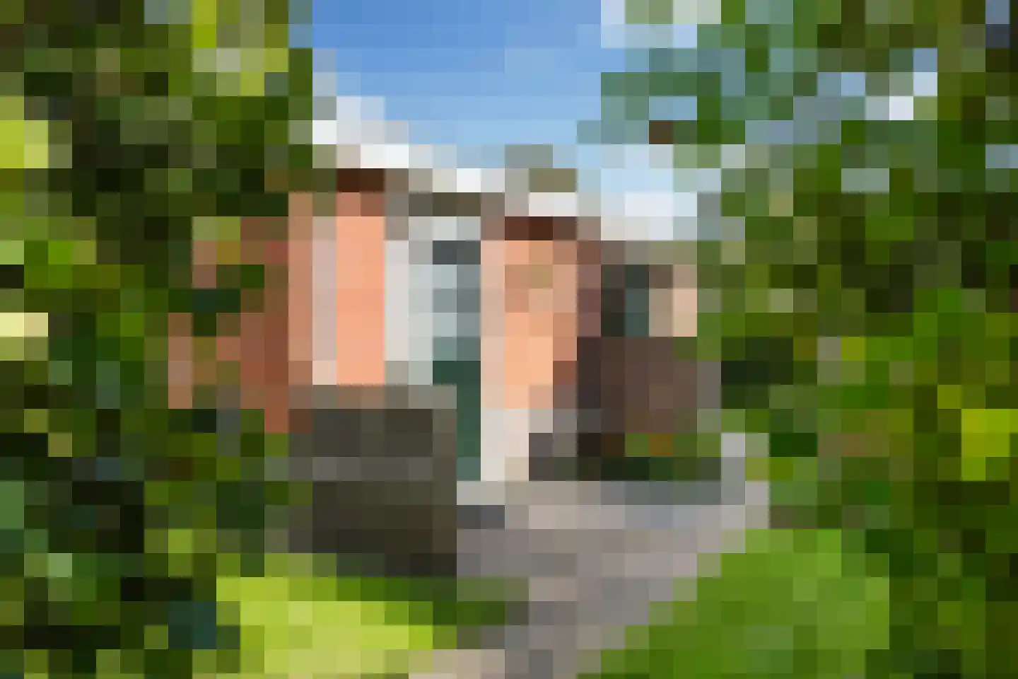 Nijlân 12 Ingwierrum thumbnail 36