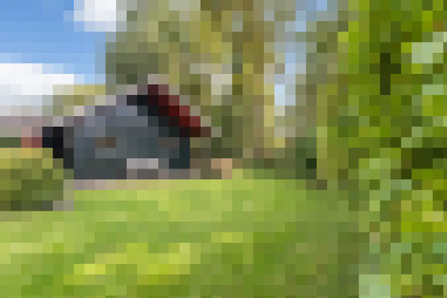 Nijlân 12 Ingwierrum thumbnail 39