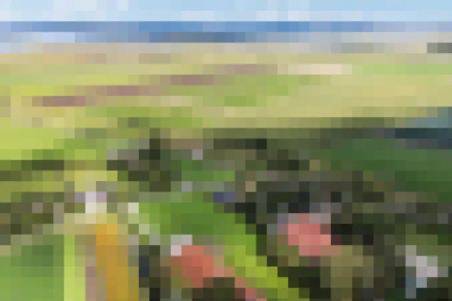 Nijlân 12 Ingwierrum thumbnail 4
