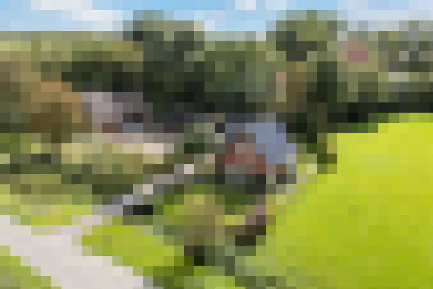 Nijlân 12 Ingwierrum thumbnail 49