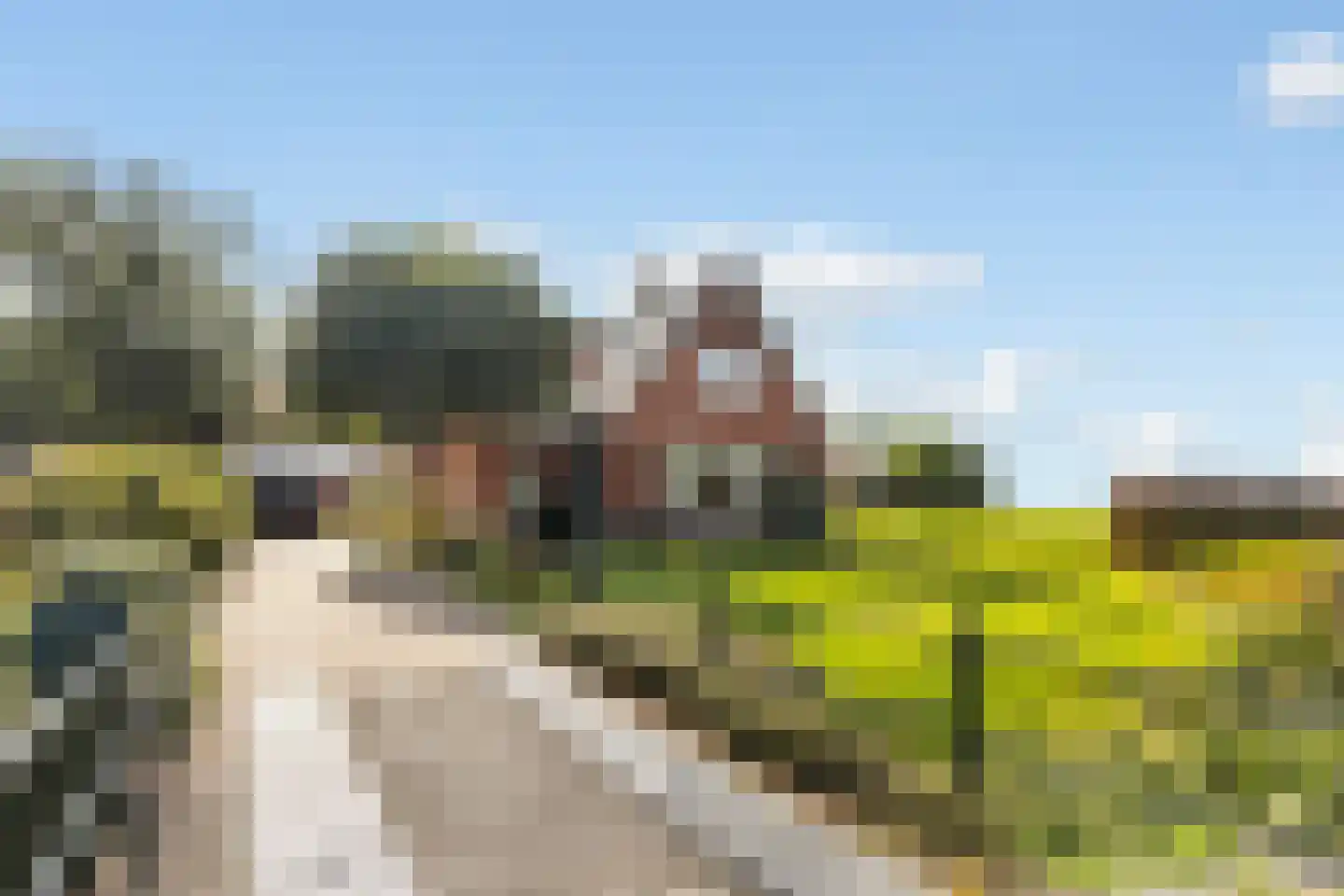 Nijlân 12 Ingwierrum thumbnail 5