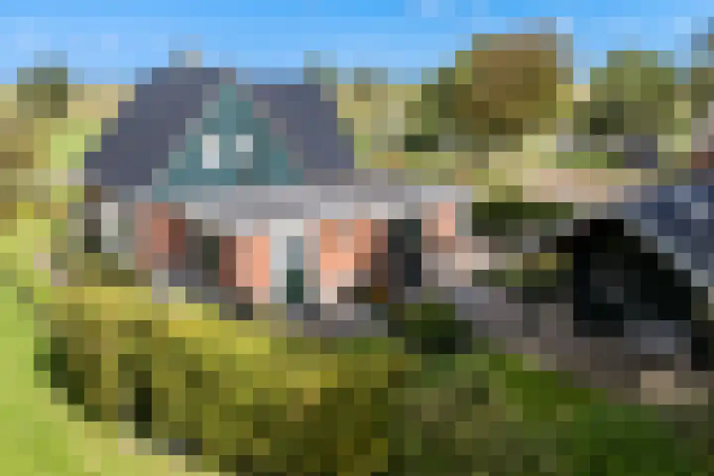 Nijlân 12 Ingwierrum thumbnail 51