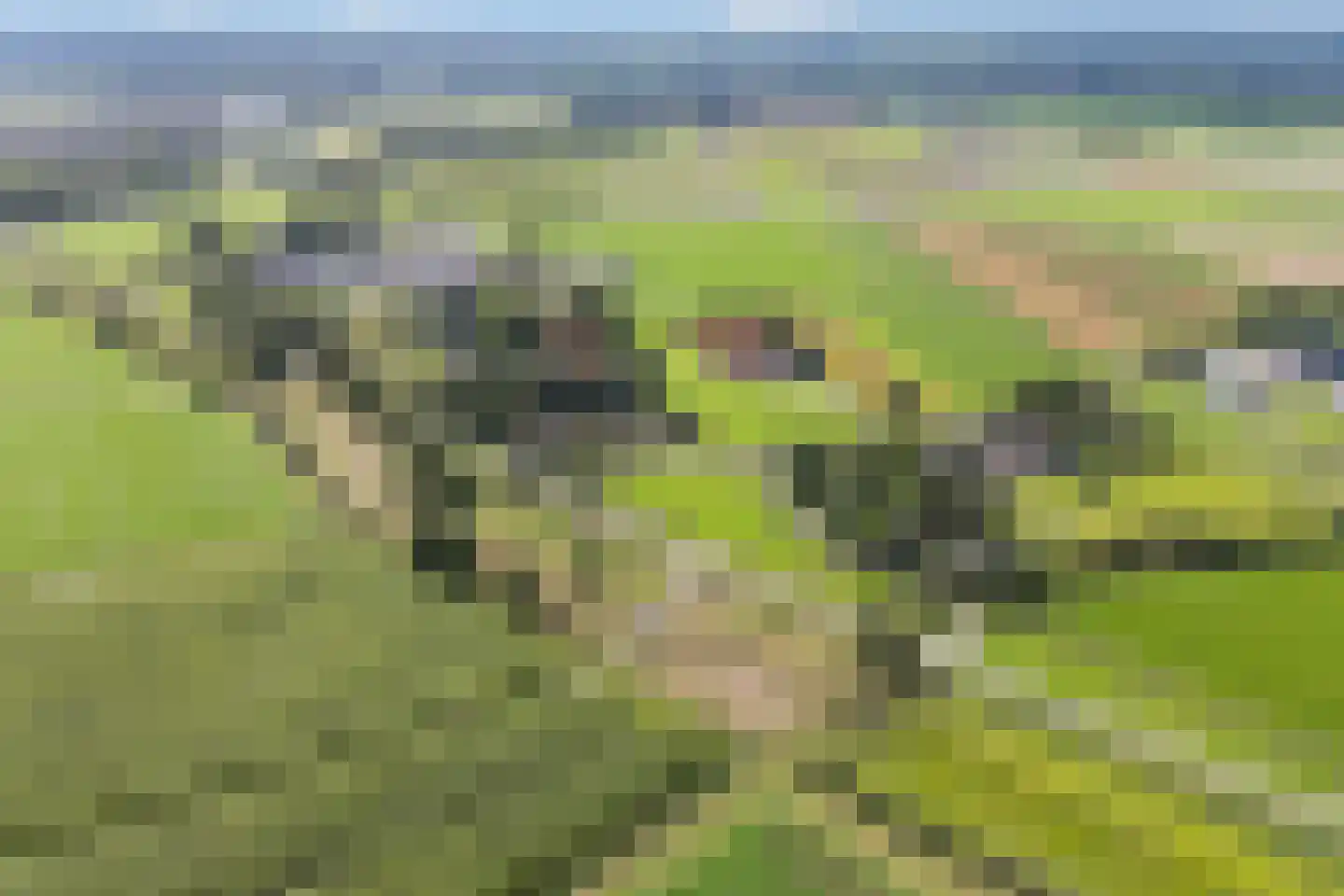 Nijlân 12 Ingwierrum thumbnail 54