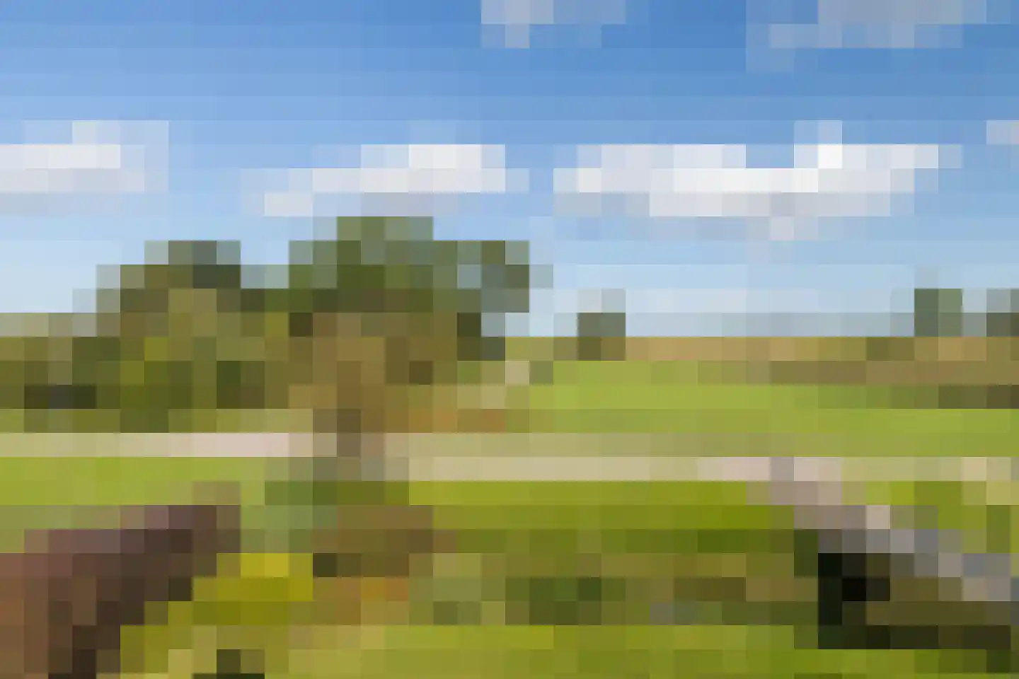 Nijlân 12 Ingwierrum thumbnail 8