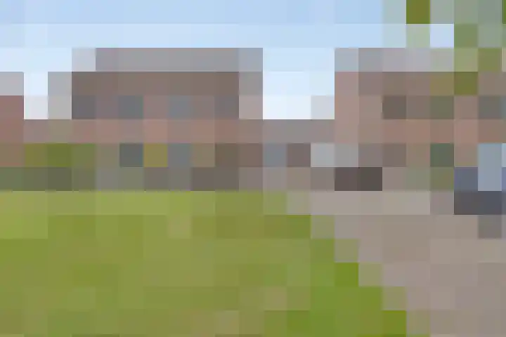 Nijlân 14 Gorredijk