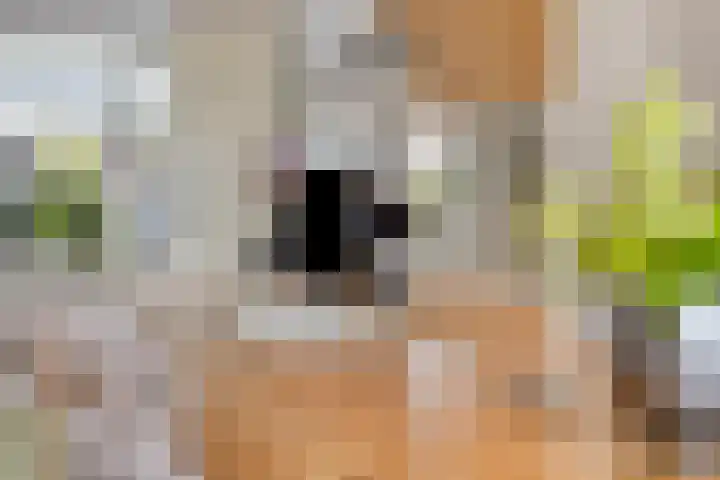 Nijlân 14 Gorredijk thumbnail 18