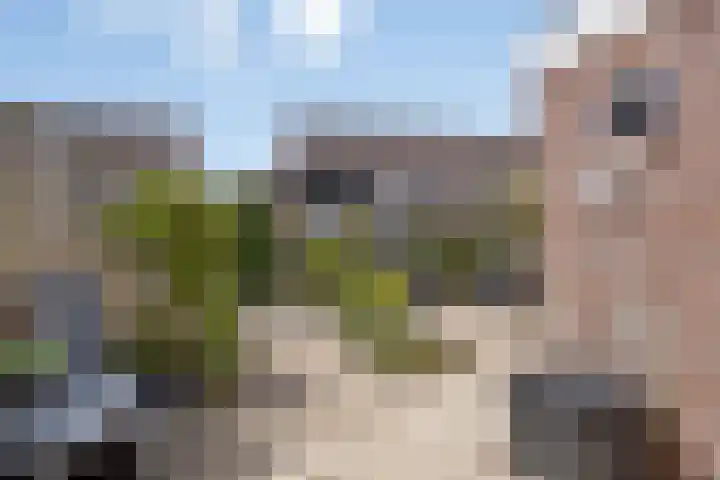 Nijlân 14 Gorredijk thumbnail 4