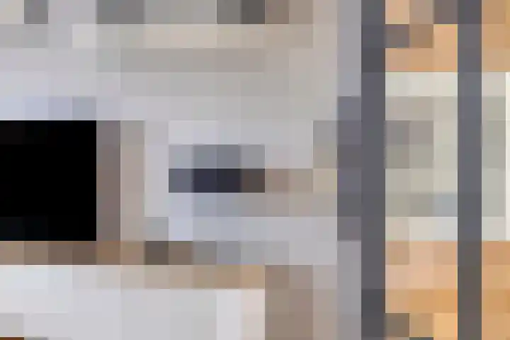 Nijlân 14 Gorredijk thumbnail 8