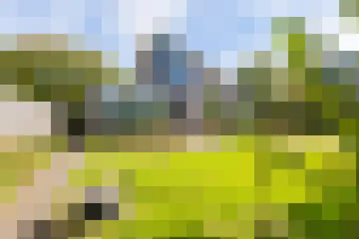 Nijlân 2 B Gorredijk thumbnail 10