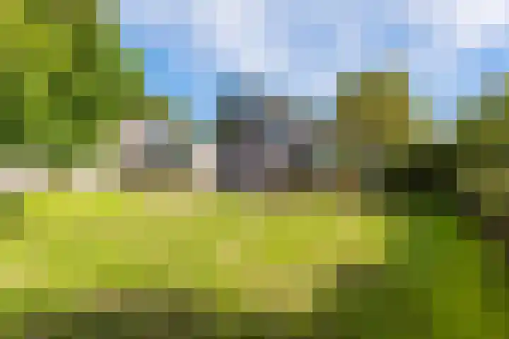 Nijlân 2 B Gorredijk thumbnail 11