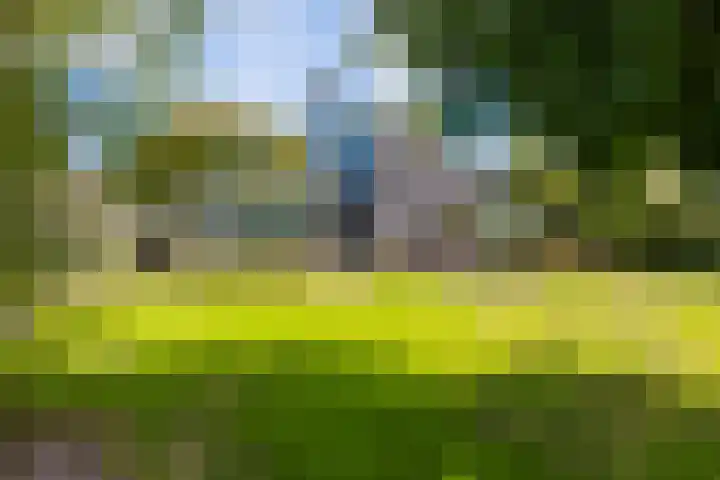 Nijlân 2 B Gorredijk thumbnail 12