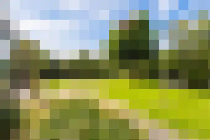 Nijlân 2 B Gorredijk thumbnail 14