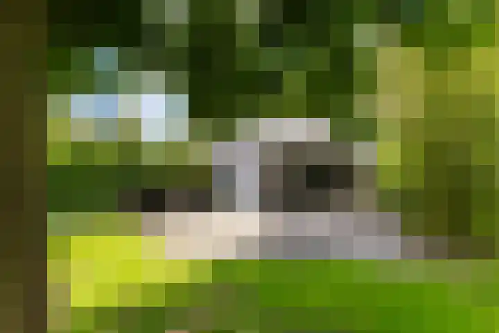 Nijlân 2 B Gorredijk thumbnail 16