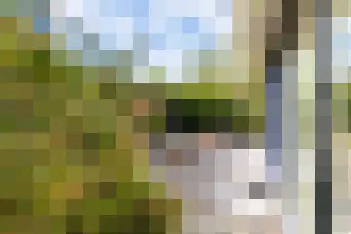 Nijlân 2 B Gorredijk thumbnail 19