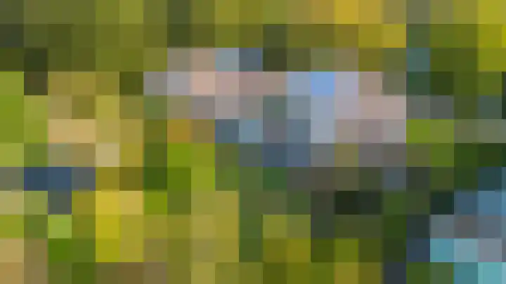 Nijlân 2 B Gorredijk thumbnail 20