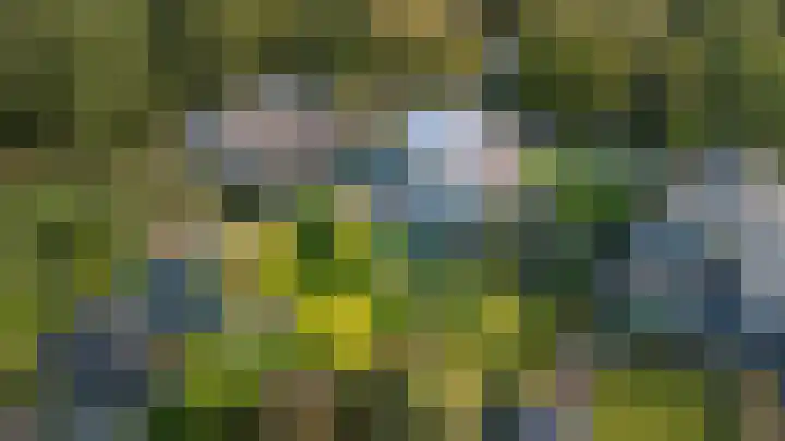 Nijlân 2 B Gorredijk thumbnail 22