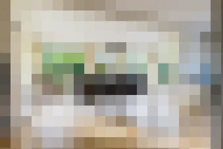 Nijlân 2 B Gorredijk thumbnail 32