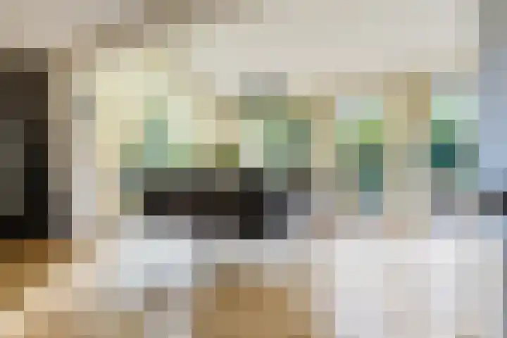 Nijlân 2 B Gorredijk thumbnail 33