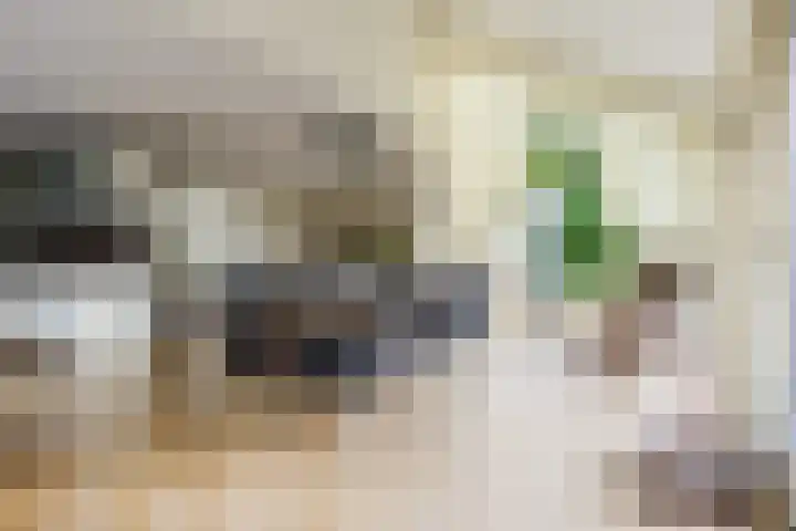 Nijlân 2 B Gorredijk thumbnail 34