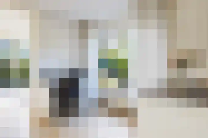 Nijlân 2 B Gorredijk thumbnail 38