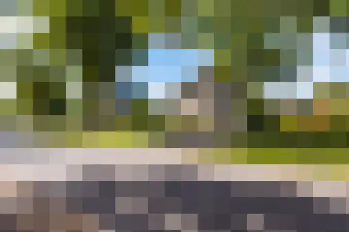 Nijlân 2 B Gorredijk thumbnail 8