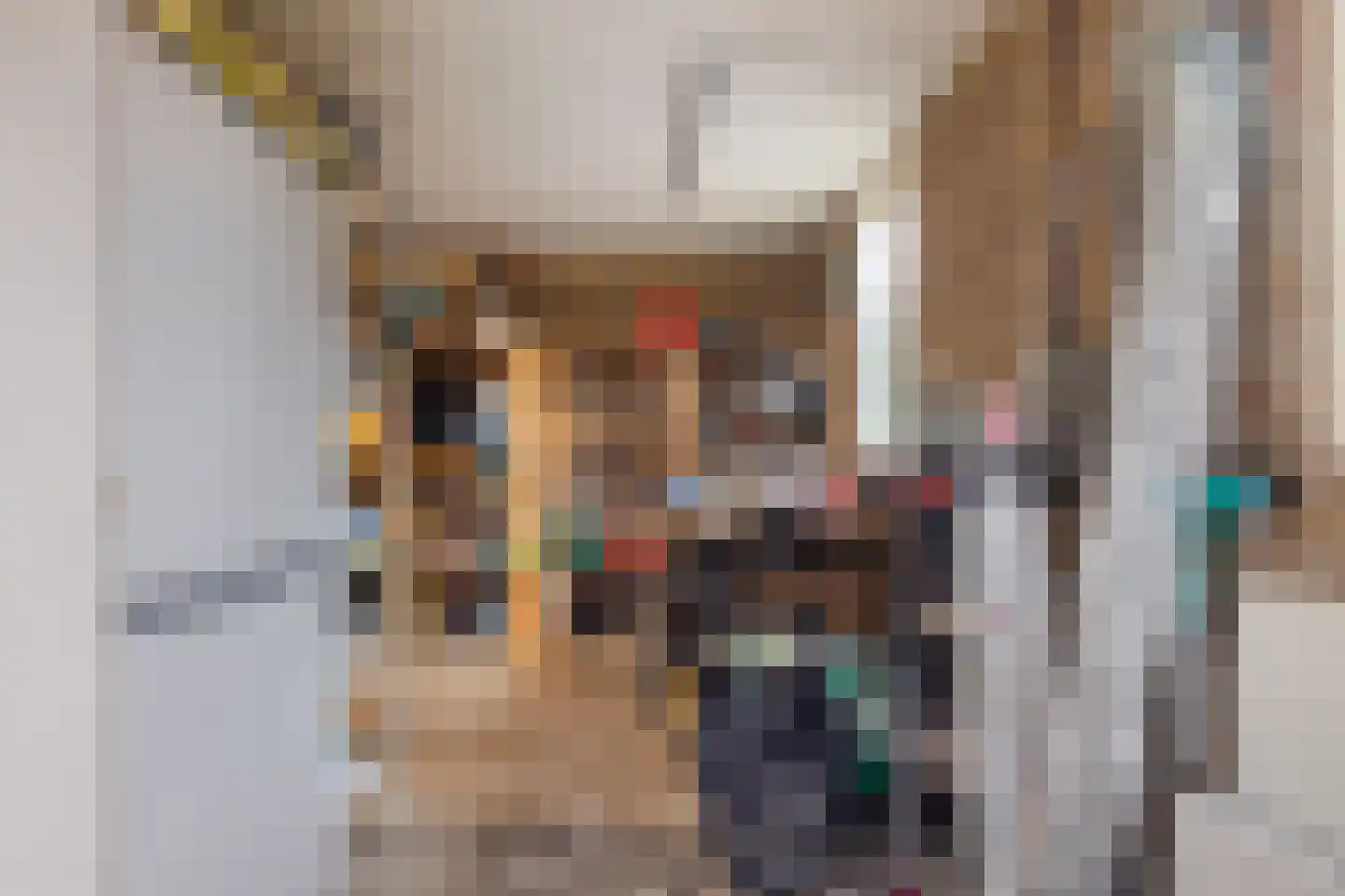 Nijlân 7 Gorredijk thumbnail 27