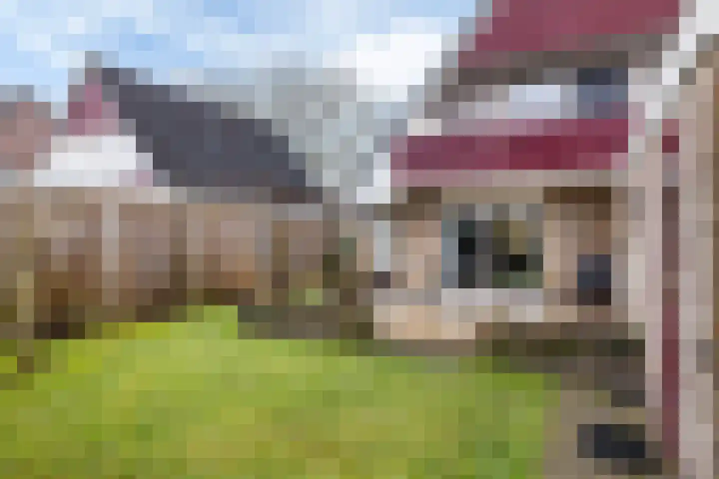 Nijlân 7 Gorredijk thumbnail 33