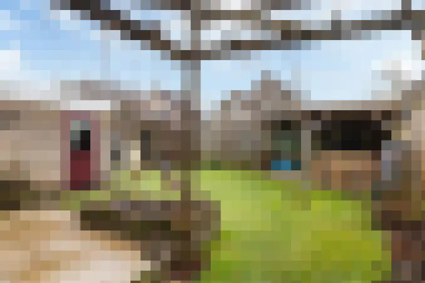 Nijlân 7 Gorredijk thumbnail 37