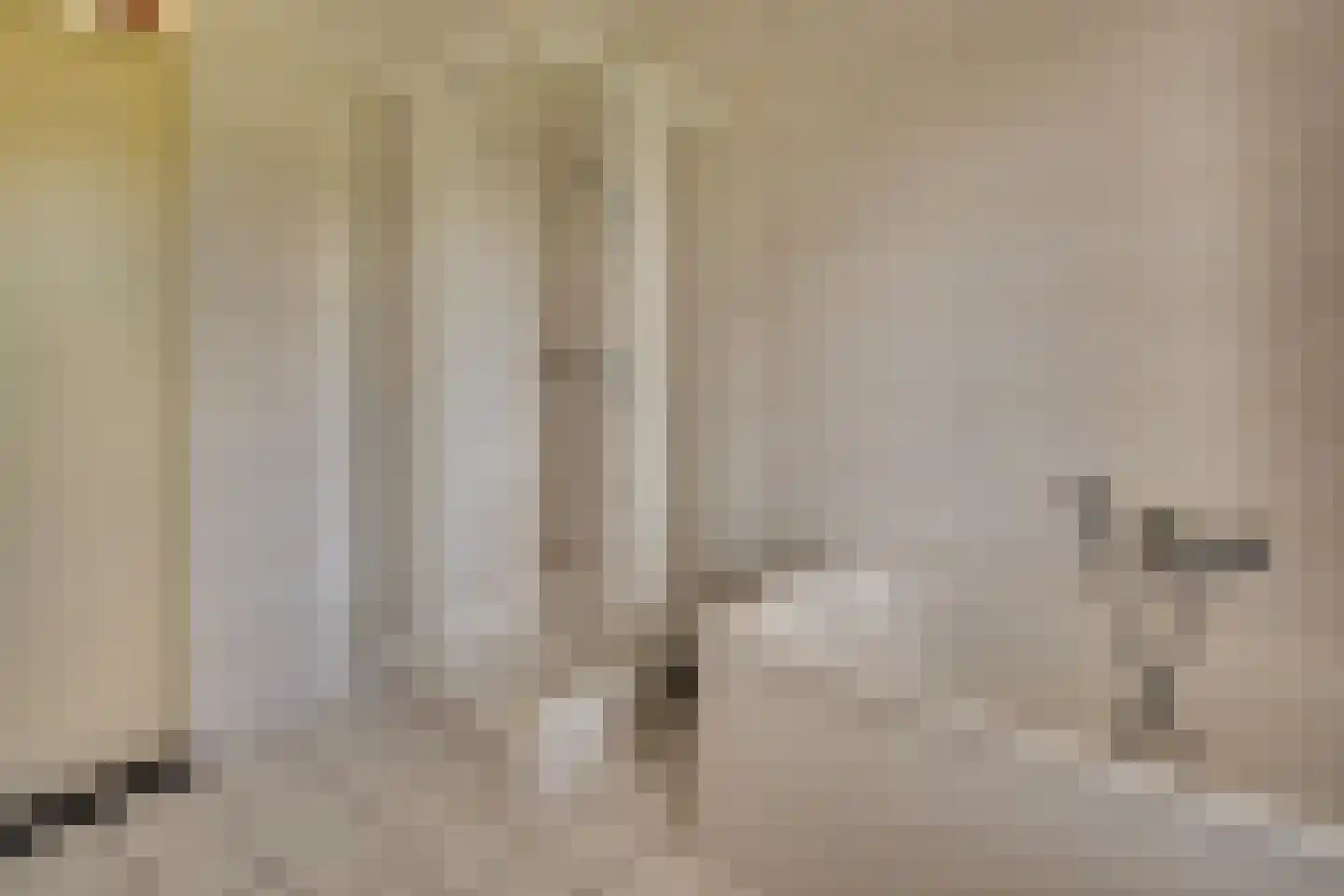 Nijland 9 Beilen thumbnail 28